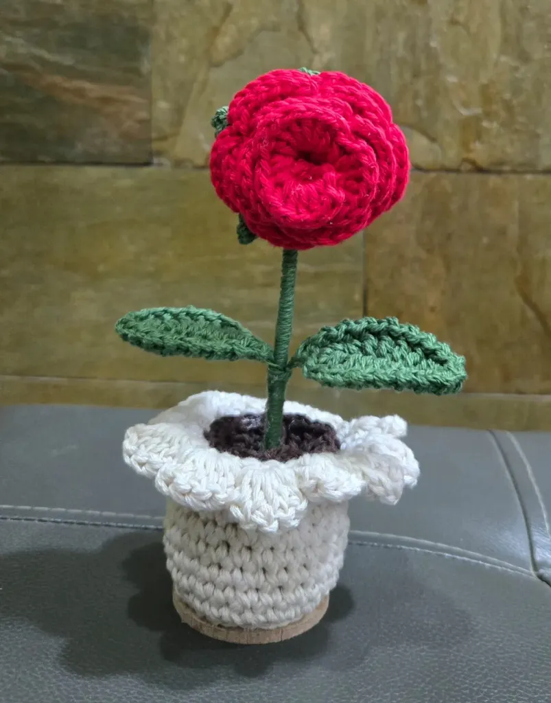 Mini Rose with pot