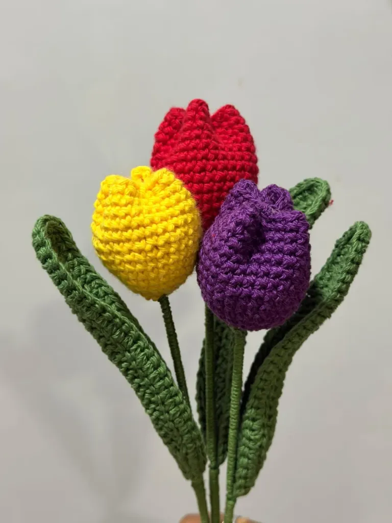 3 Tulips