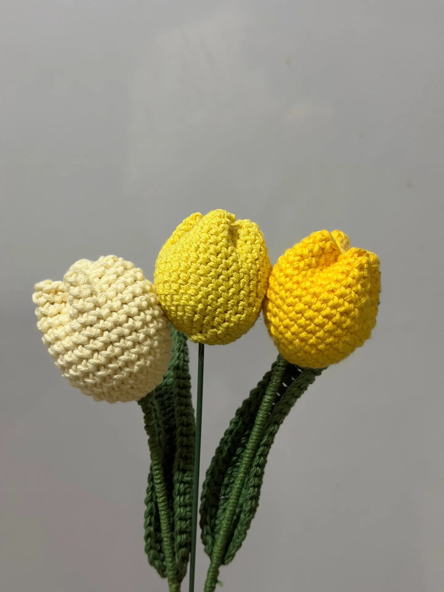 3 Tulips