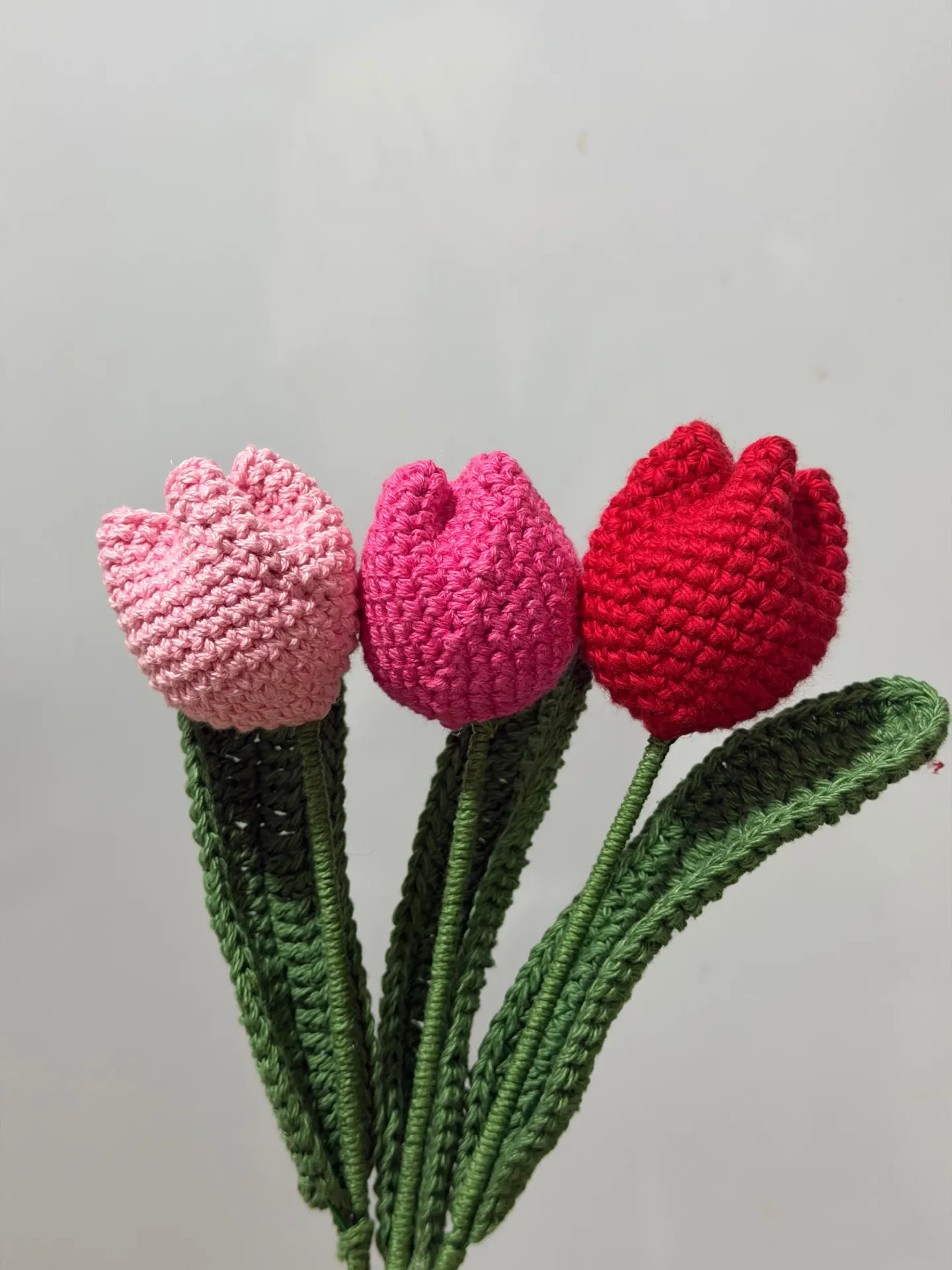 3 Tulips