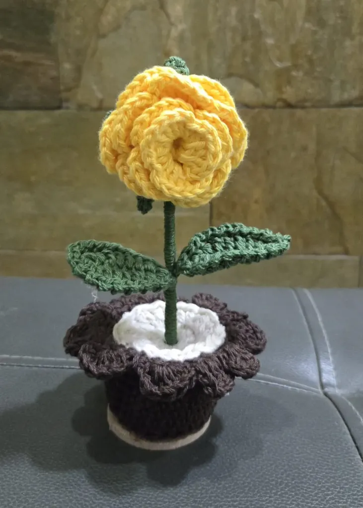 Mini Rose with pot